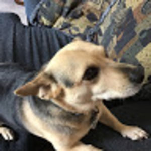 Meet your Posher, Emma